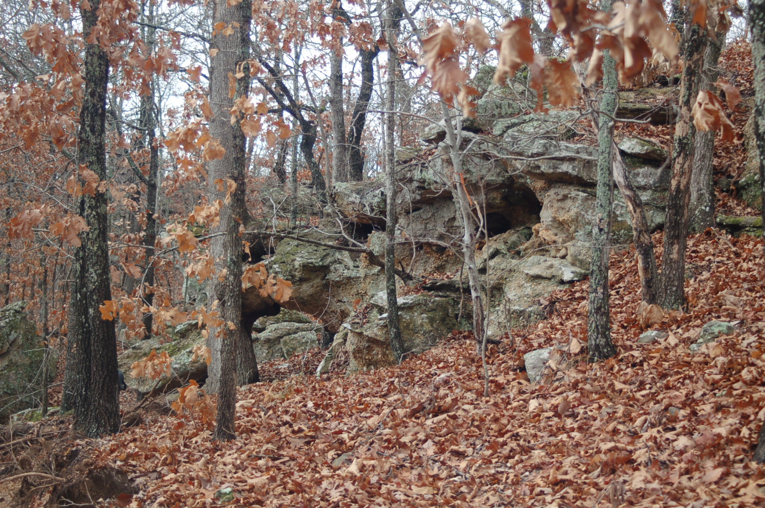 Rocks along the canyon trail