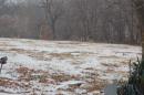 View The Picturesque Photos of Fry Lake Album