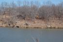 View The DAM REPAIR Album